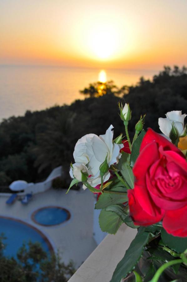 Holiday Apartments Maria With Pool And Panorama View - Agios Gordios Beach Exterior photo